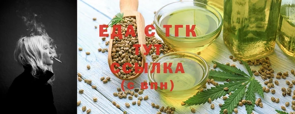 тгк Вяземский