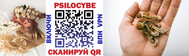Галлюциногенные грибы Psilocybine cubensis  купить  сайты  Исилькуль 